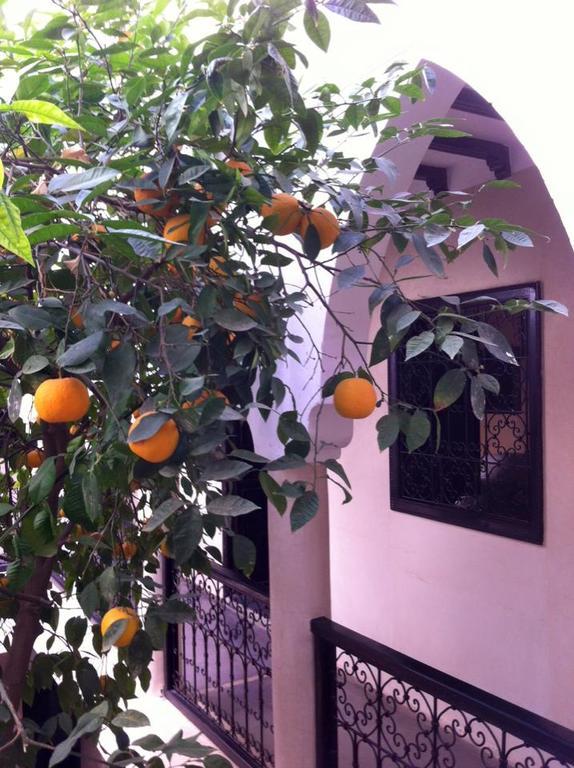 Riad Le Bel Oranger Marrakesh Exterior photo